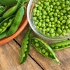 Early Frosty Garden Pea Seeds – English Shelling Pisum Sativum Vegetable