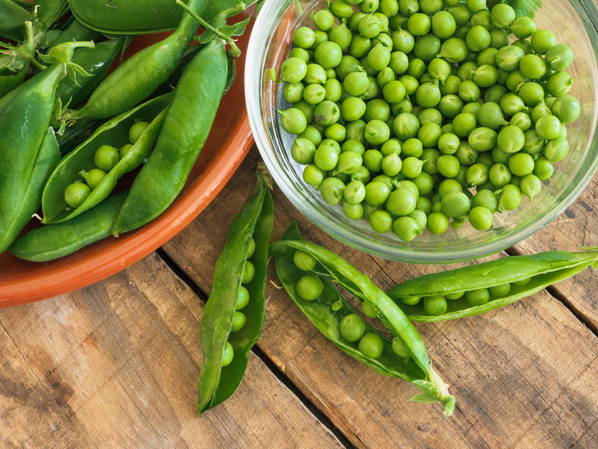 Early Frosty Garden Pea Seeds – English Shelling Pisum Sativum Vegetable