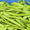 Romano Bush Bean Seeds – Italian Flat Green Pod Phaseolus Vulgaris Vegetable – photo 6