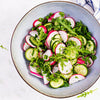 500 SPARKLER WHITE Tip RADISH Sweet European Red Raphanus Sativus Vegetable Seed