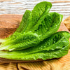 3000 PARRIS ISLAND Romaine LETTUCE Lactuca Sativa Vegetable Seeds