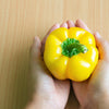 50 YELLOW Cheese PIMENTO PEPPER Capsicum Annuum Vegetable Seeds