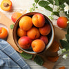 5 MANCHURIAN APRICOT Fruit Tree Flowering Prunus Mandshurica Seeds