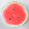 50 CHARLESTON GRAY WATERMELON Citrullus Lanatus Red Fruit Melon Seeds