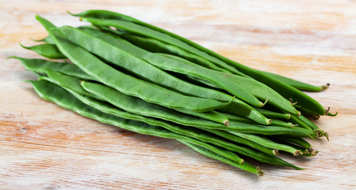 Roma Italian Green Bean Phaseolus Vulgaris Vegetable Seeds