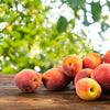 3 NEMAGUARD PEACH TREE Prunus Persica Fruit Pink Flower Seeds