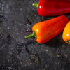 Santa Fe Grande Pepper (Guero Chili Pepper / Yellow Hot Chili Pepper) Capsicum Annuum Vegetable Seeds – photo 4