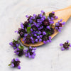 100 HEAL ALL Self Heal Prunella Vulgaris Purple Herb Flower Seeds