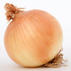 250 Sweet WALLA WALLA ONION Allium Cepa Vegetable Seeds