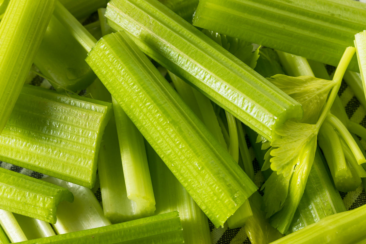 Tendercrisp Celery Seeds – Stalks & Leaves Apium Graveolens Vegetable