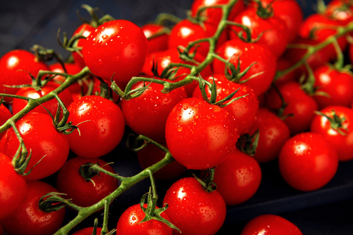 Small Red Cherry Tomato Lycopersicon Lycopersicum Fruit Vegetable Seeds – photo 6