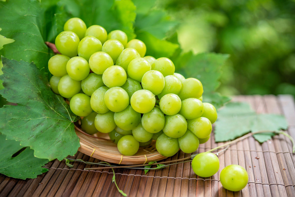 Green (Dessert / Table) Grape Vitis Vinifera Fruit Vine Seeds – photo 8