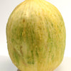 30 CRENSHAW MELON ( Muskmelon / Winter Melon / Cranshaw ) Cucumis Melo Fruit Seeds