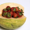 30 CRENSHAW MELON ( Muskmelon / Winter Melon / Cranshaw ) Cucumis Melo Fruit Seeds