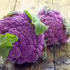 25 PURPLE CAULIFLOWER Violet Queen Brassica Oleracea Botrytis Vegetable Seeds