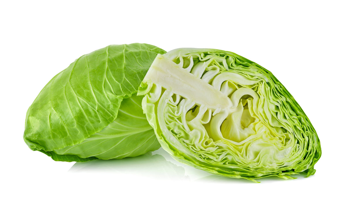 Early Jersey Wakefield Cabbage Seeds – Brassica Oleracea Capitata Vegetable