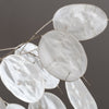 Lunaria Biennis ( Money Plant / Silver Dollar / Honesty / Moonwort ) Flower Seeds – photo 10