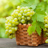 Green (Dessert / Table) Grape Vitis Vinifera Fruit Vine Seeds – photo 3