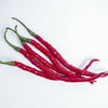 300 THIN CAYENNE PEPPER Hot Chili Long Green Red Slim Capsicum Vegetable Seeds