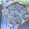 1000 White BABY'S BREATH 'Covent Garden' Gypsophila Elegans Flower Seeds
