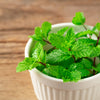500 SPEARMINT (English Mint) Mentha Spicata Herb Flower Seeds