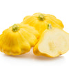 10 Golden YELLOW Bush SCALLOP SQUASH (Patty Pan / Paty Pan / Squanter Squash) Summer Cucurbita Pepo Vegetable Seeds
