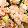 20 Mixed Colors LISIANTHUS Eustoma Grandiflorum Bluebell Gentian Flower Seeds