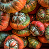 10 American TURKS TURBAN SQUASH Gourd Cucurbita Maxima Vine Seeds