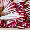 100 RADICCHIO DI TREVISO Radicchio Rose Vegetable Seeds