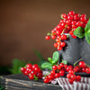 20 Red WAX CURRANT Edible Fruit Berries Pink Flowers Shrub Ribes Cereum Seeds