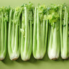 1000 TALL UTAH CELERY Apium Graveolens Dulce Vegetable Seeds