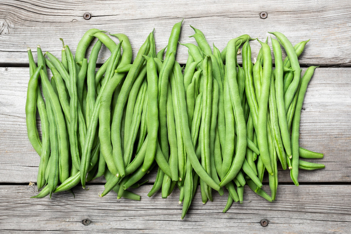 Burpee Stringless Green Pod Bean French Phaseolus Vulgaris Vegetable Seeds
