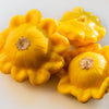 10 Golden YELLOW Bush SCALLOP SQUASH (Patty Pan / Paty Pan / Squanter Squash) Summer Cucurbita Pepo Vegetable Seeds