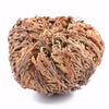 Live RESURRECTION PLANT Rose of Jericho Dinosaur Fern Miracle Air Houseplant
