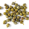 20 CAPER BUSH Edible Capers Flinders Rose Flower Capparis Spinosa Shrub Seeds