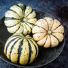 25 SWEET DUMPLING SQUASH Orange Winter Delicata Cucurbita Maxima Vegetable Seeds