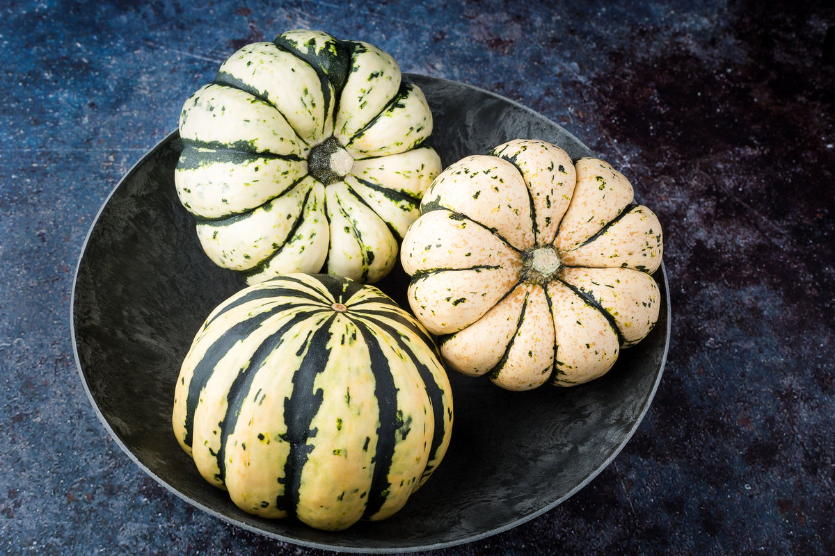 Sweet Dumpling Squash Seeds – Orange Winter Delicata Cucurbita Maxima Vegetable – photo 3