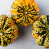 15 CARNIVAL SQUASH Winter Cucurbita Pepo Vegetable Seeds