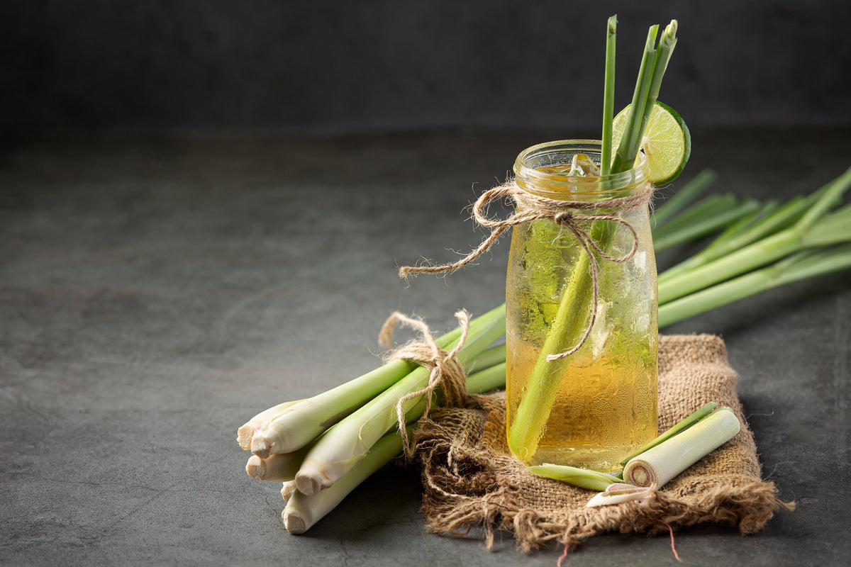 Lemongrass Seeds – East Indian Lemon Grass Fragrant Ornamental Edible Cymbopogon Flexuosus – photo 3