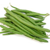 Tendergreen Green Bean Seeds – Phaseolus Vulgaris Vegetable – photo 8
