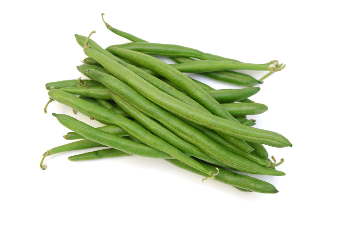 Tendergreen Green Bean Seeds – Phaseolus Vulgaris Vegetable – photo 8