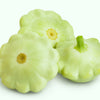 20 Green Tint BUSH SCALLOP SQUASH (Patty Pan / Paty Pan / Squanter Squash) Summer Cucurbita Pepo Vegetable Seeds
