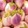 50 Organic Italian EGGPLANT ROSA BIANCA Solanum Melongena Esculentum Vegetable Seeds