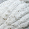 30 BLUE HUBBARD SQUASH New England Buttercup Cucurbita Pepo Vegetable Seeds