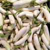40 White Star FINGER FRUIT EGGPLANT Solanum Melongena Aubergine Fruit Vegetable Seeds