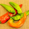 300 ANAHEIM CHILI PEPPER (New Mexico Chili Pepper) Capsicum Annuum Vegetable Seeds