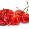 10 Red CAROLINA REAPER PEPPER World's Hottest Capsicum Chinense Hot Chili Vegetable Seeds