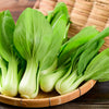 Canton Pak Choi Seeds – (Bok Choy / Chinese Cabbage) Brassica Rapa Chinensis Vegetable – photo 2