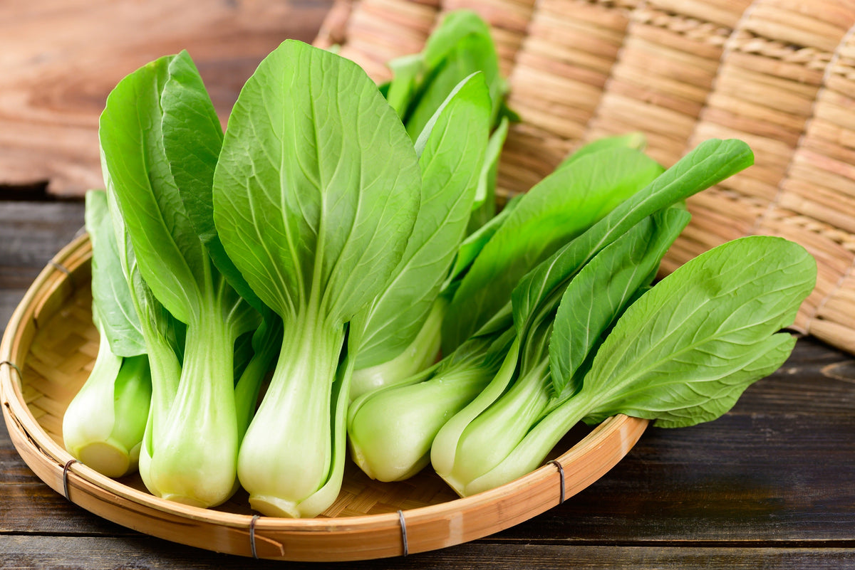 Canton Pak Choi Seeds – (Bok Choy / Chinese Cabbage) Brassica Rapa Chinensis Vegetable – photo 2
