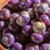 50 PURPLE TOMATILLO Husk Tomato Physalis Ixocarpa Fruit Vegetable Seeds